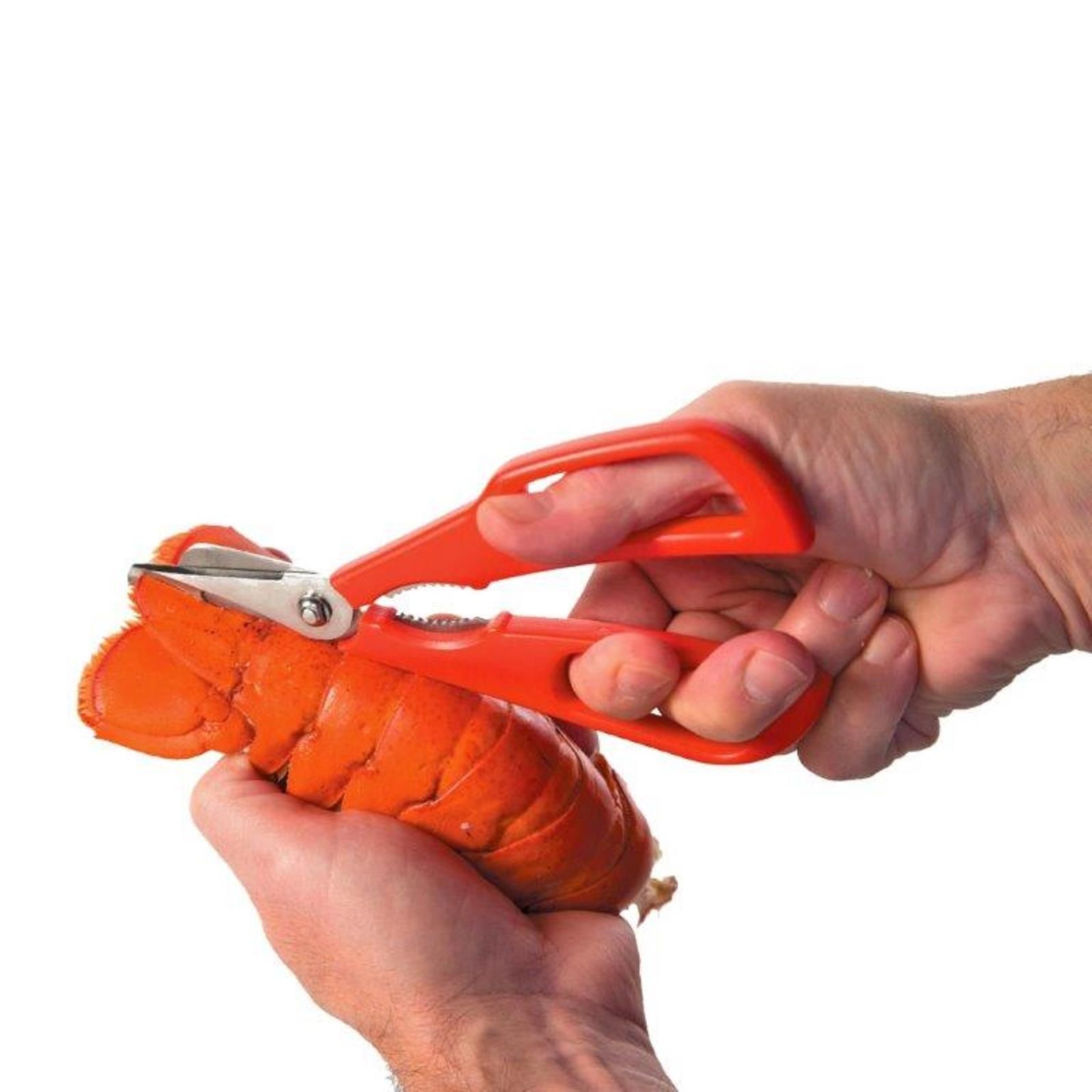 NEW EDGE DESIGN SEAFOOD SHEARS Shellfish Crab Lobster Scissors Cutter