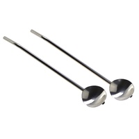 CASABARISTA STAINLESS STEEL SPOON/STRAW 19cm - SET OF 2