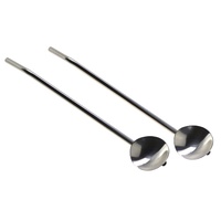 2 STRAW SPOON STAINLESS STEEL