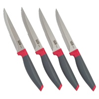 TASTY 4 PIECE STAINLESS STEEL STEAK KNIFE SET