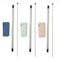AVANTI COLLAPSIBLE STAINLESS STEEL STRAW WITH CASE AND CLEANER