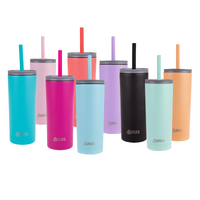 OASIS STAINLESS STEEL 600ml SUPER SIPPER WITH STRAW